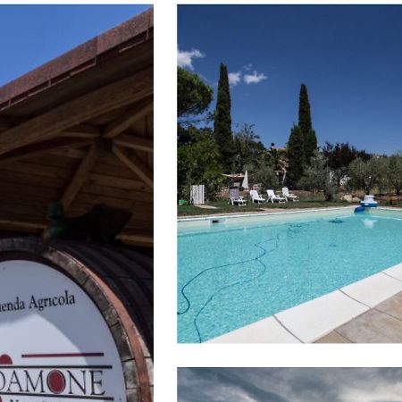 Le Stanze Di Zelinda Villa Suvereto Buitenkant foto